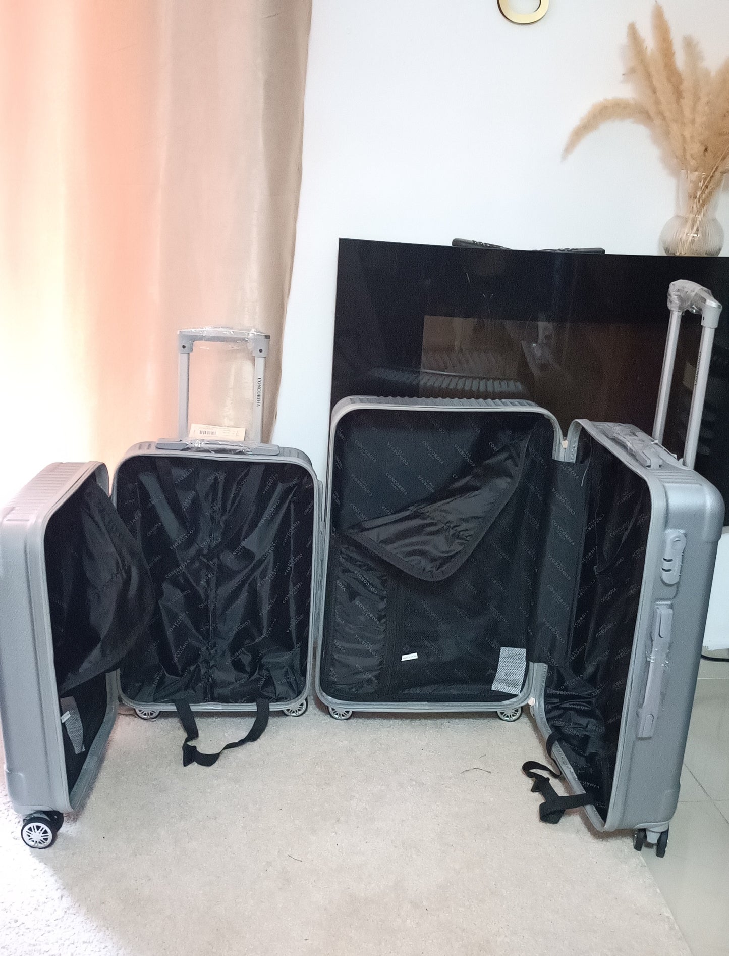 Concordia ABS gris - Destock Valises