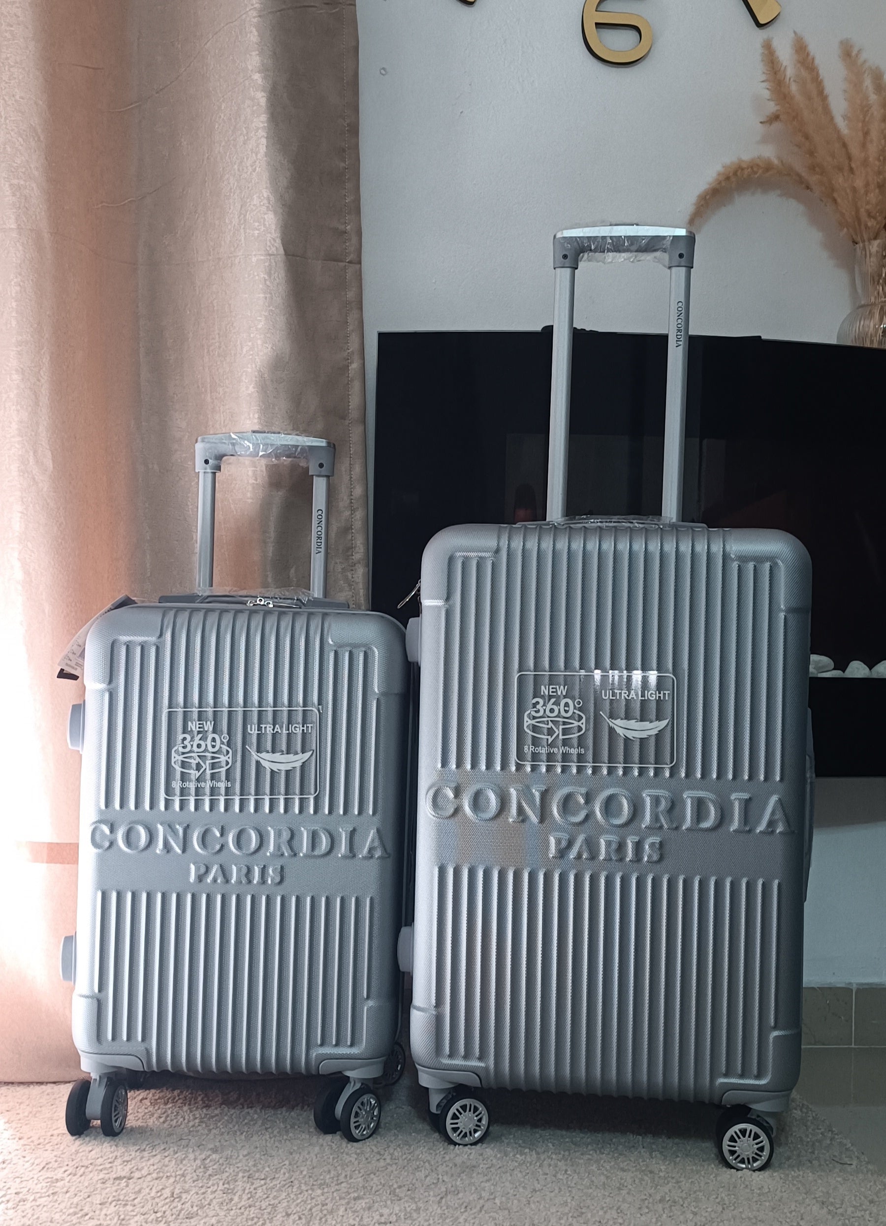 Concordia ABS gris - Destock Valises