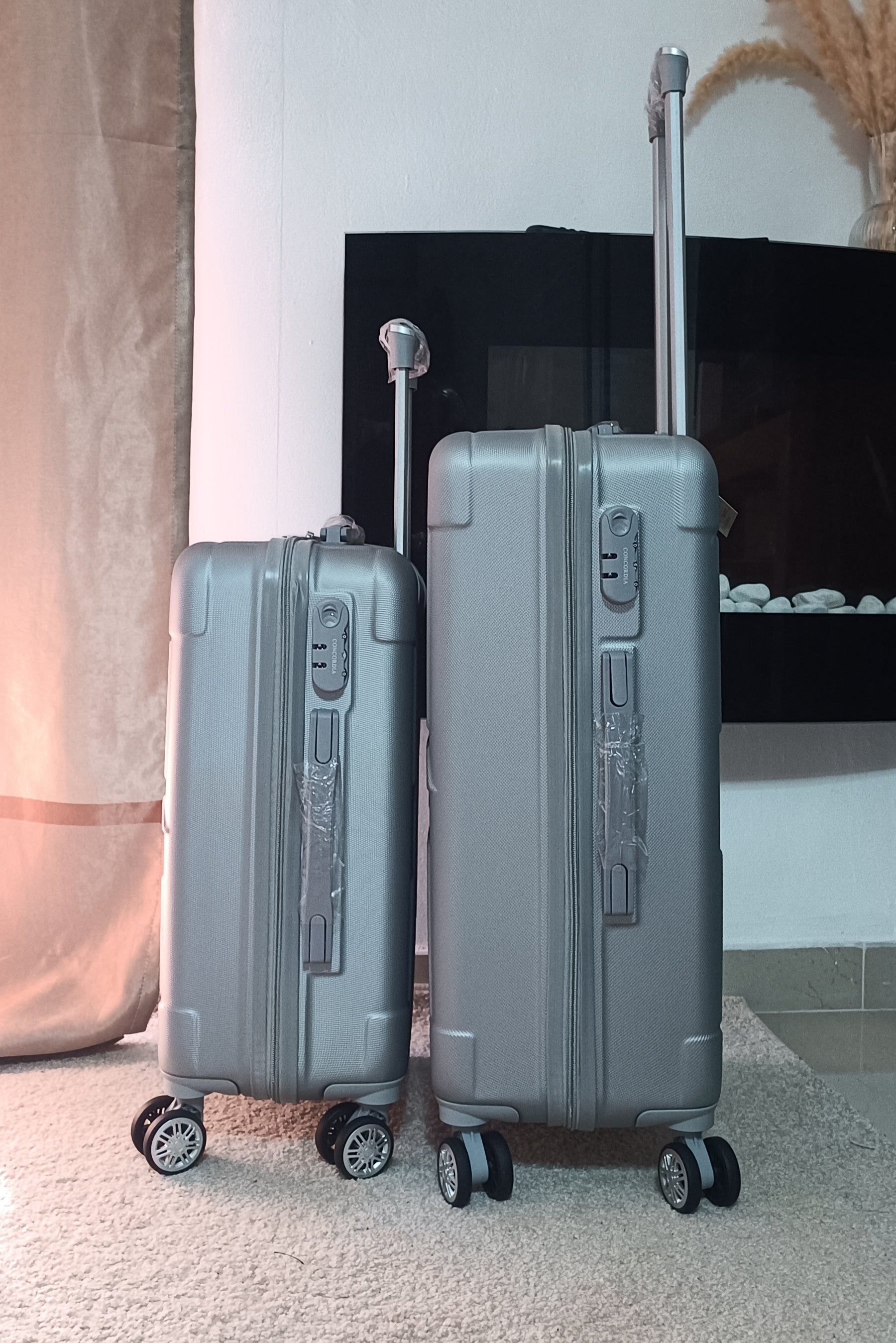 Concordia ABS gris - Destock Valises