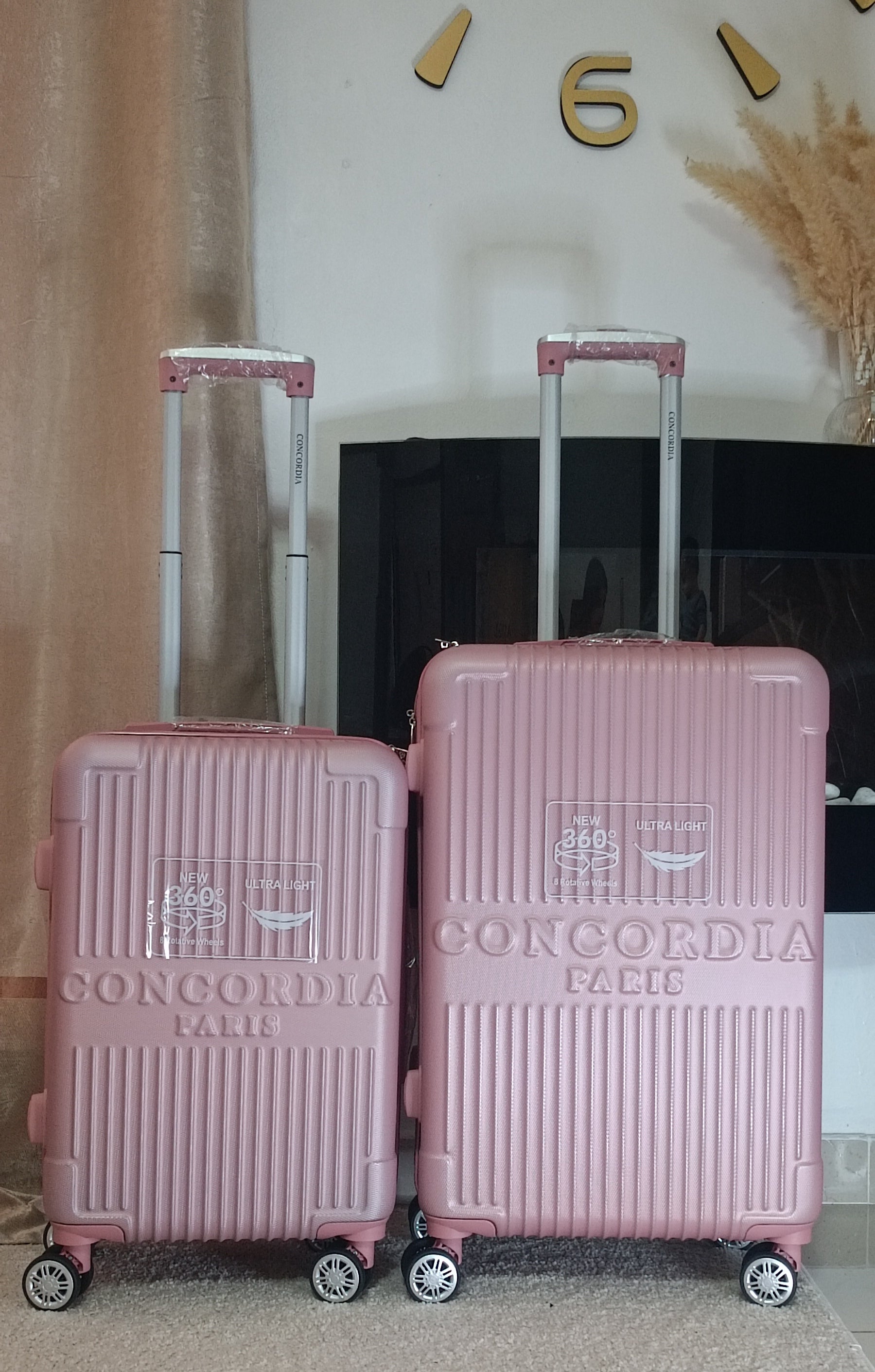 CONCORDIA ROSE - Destock Valises