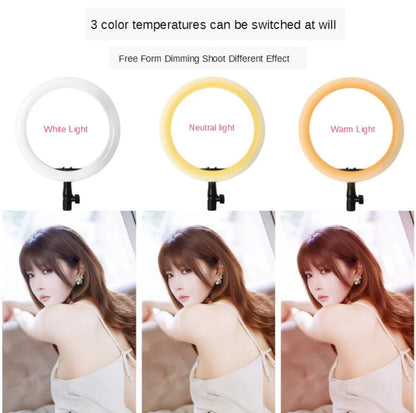 Ring light - Destock Valises