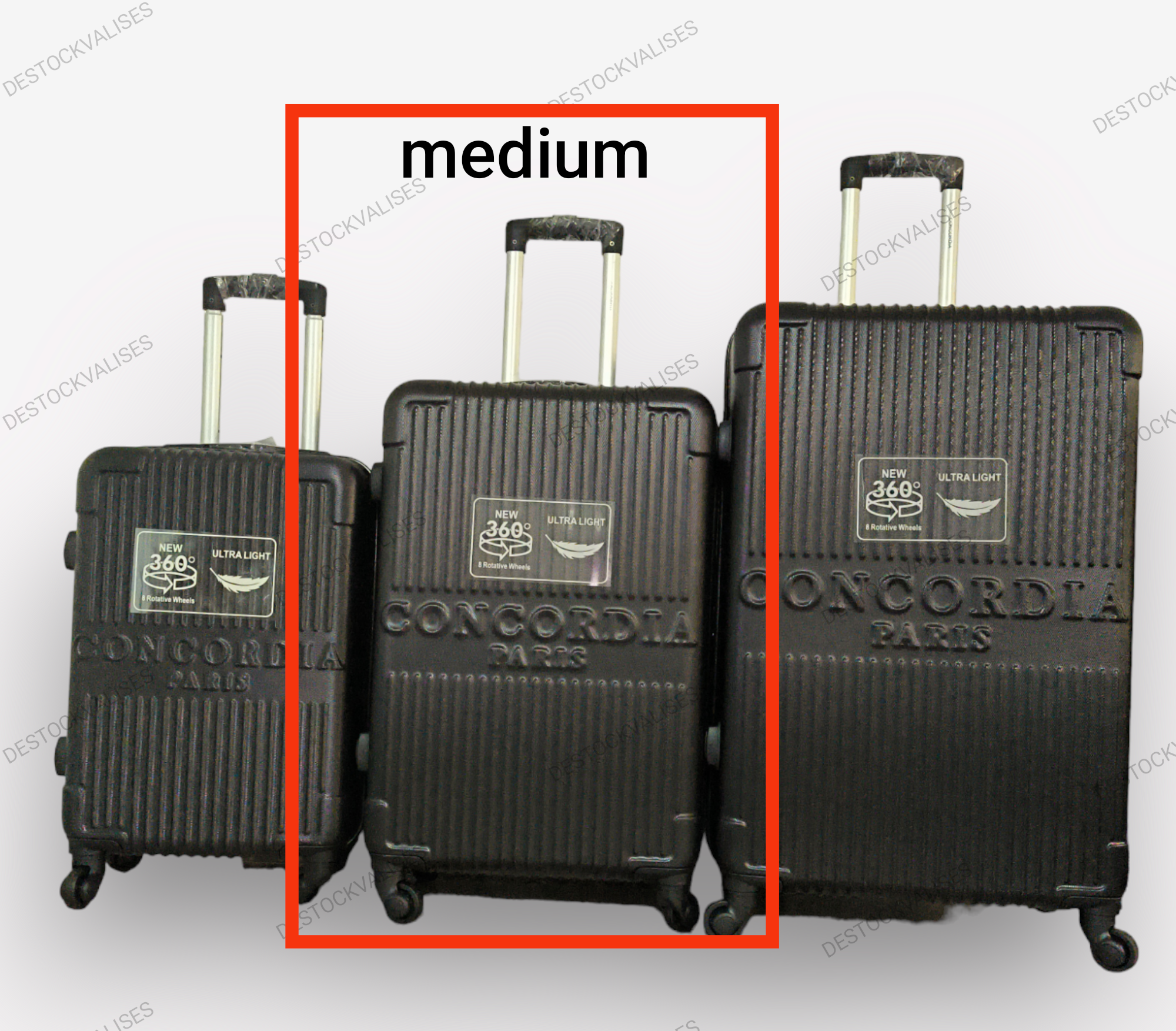 Valise medium