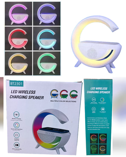 Enceinte Station de charge - Destock Valises