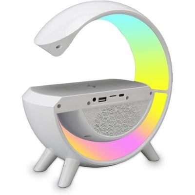 Enceinte Station de charge - Destock Valises