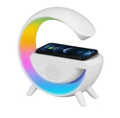 Enceinte Station de charge - Destock Valises